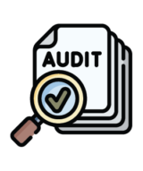 audit-reviewer-01