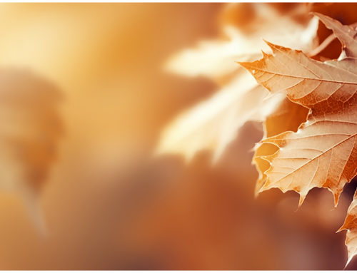 [Webinar] Fall Program Reminders & Best Practices
